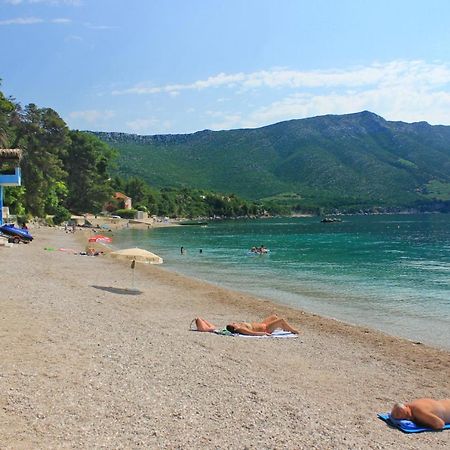 Apartments With A Parking Space Orebic, Peljesac - 10159 Dış mekan fotoğraf