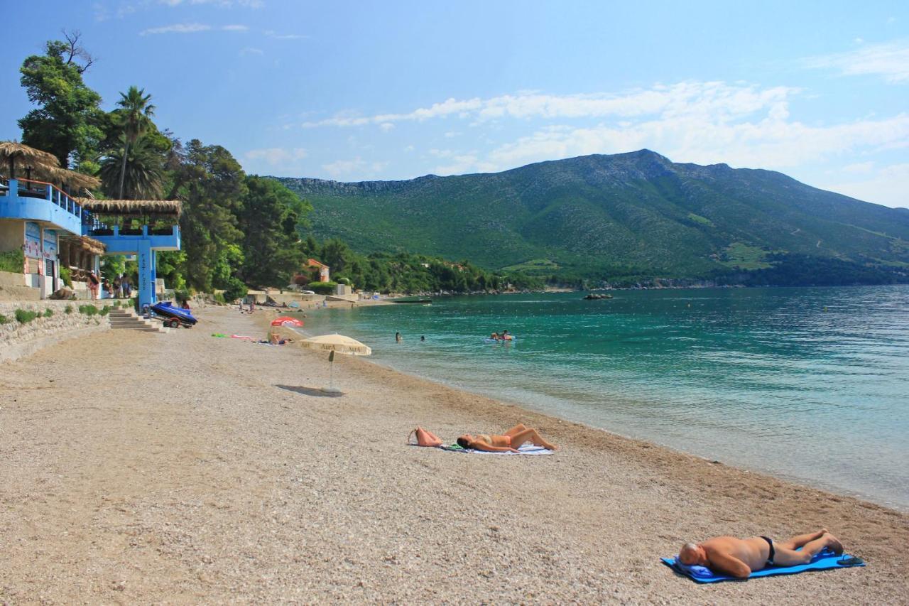 Apartments With A Parking Space Orebic, Peljesac - 10159 Dış mekan fotoğraf